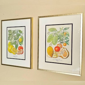 Buyer photo Holly Mitchelson, who reviewed this item with the Etsy app for Android.