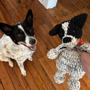 Anna ha aggiunto una foto del proprio acquisto