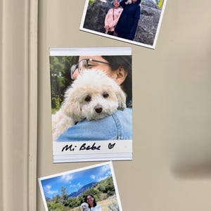 Kathy added a photo of their purchase
