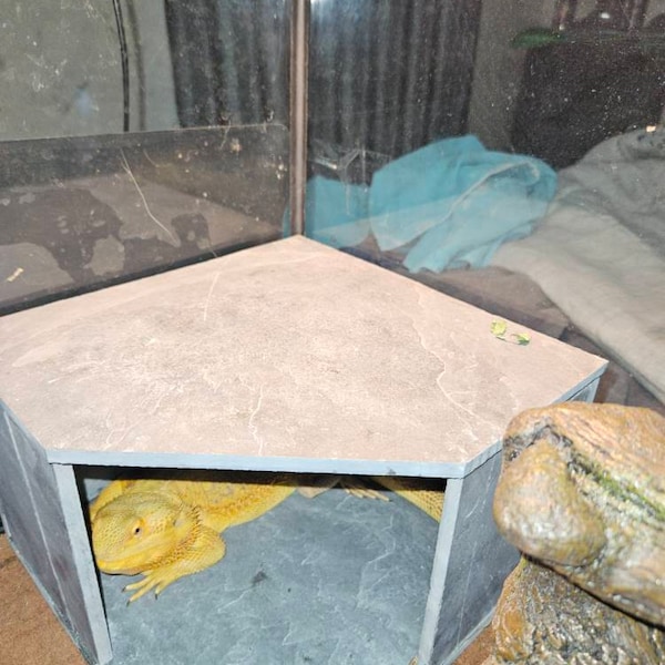 3 Tier Open Back Slate Hide 11x11x8 for Fish, Snake, Reptile, Turtle ...