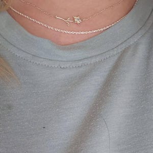 Nikki added a photo of their purchase