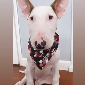 Wendy added a photo of their purchase