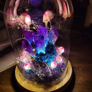 Andrea added a photo of their purchase