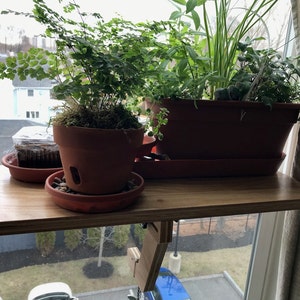 Zina added a photo of their purchase