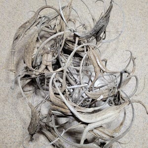 Katy added a photo of their purchase