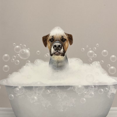 Custom Pet Portraits Set of 3, Funny Dog or Cat Portrait, Pet in ...