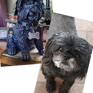 Vicki added a photo of their purchase