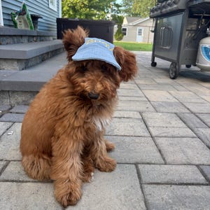 Giselle added a photo of their purchase