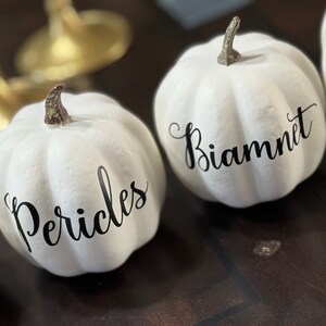 Personalized Pumpkin, Fall Wedding Decor, Custom White Pumpkin, Guest ...