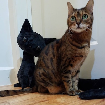 Sitting Kitty Cat Stuffed Animal Sewing Pattern PDF Digital Download ...