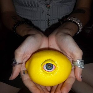 Realistic Life Sized Freaky Fruit All Seeing Lemon by Dead Head