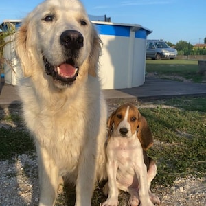 Emma ha aggiunto una foto del proprio acquisto