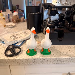 Lauren added a photo of their purchase