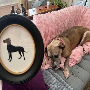 Eva added a photo of their purchase