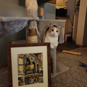 Katie added a photo of their purchase