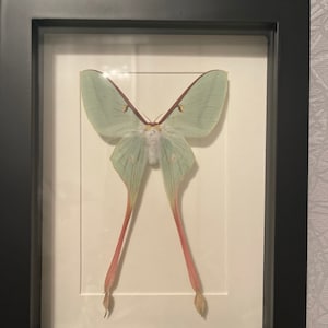 Paulina added a photo of their purchase