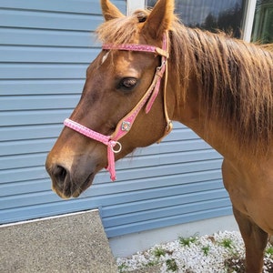 Cuenta inactiva ha añadido una foto de su compra