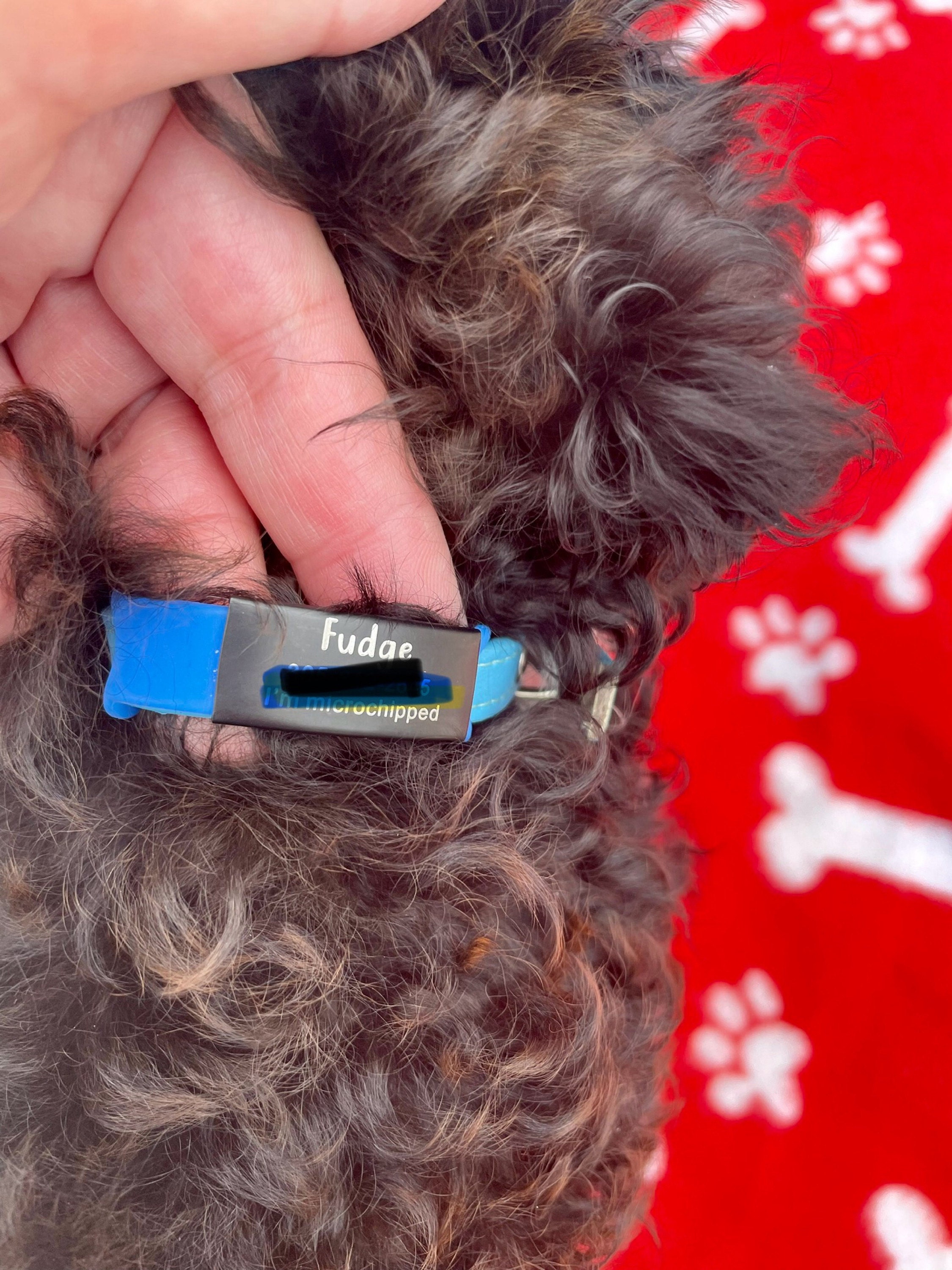 Custom Durable Slide Pet ID Tag🐶🐱,Personalized Name Silicone Dog Tag, Gift for Dog Owner