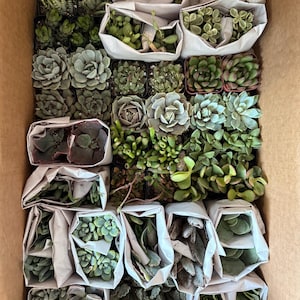 Elizabeth added a photo of their purchase