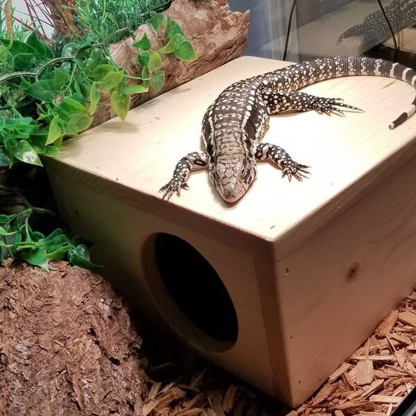 Square Hide With Ramp - Etsy