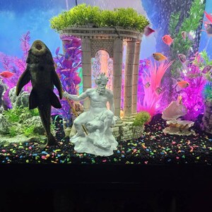 Jose added a photo of their purchase