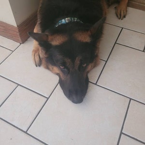 Personalized Dog Collar Pattern Aztec Dog Collar Engraved | Etsy