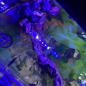 James added a photo of their purchase