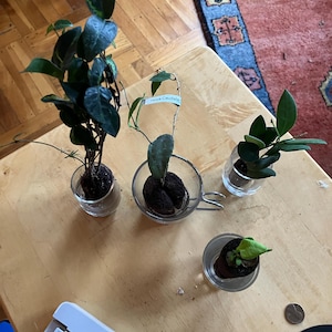 Eric added a photo of their purchase