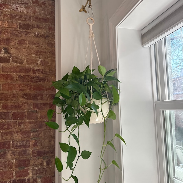 No Tassel Macrame Plant Hanger Without Tail Custom Size Simple Photo Inspiration
