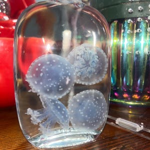 Rose added a photo of their purchase