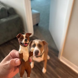 Yezenia a ajouté une photo de son achat