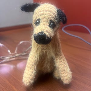 Dog ate cloth toy discount