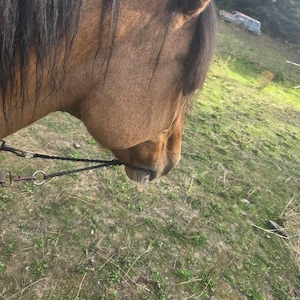 Ashley added a photo of their purchase
