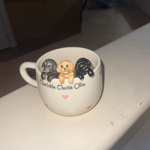 Jamie hat ein Foto des gekauften Artikels hinzugefügt