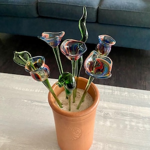 Terry added a photo of their purchase