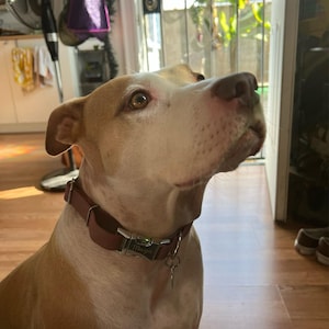Shelby ha añadido una foto de su compra