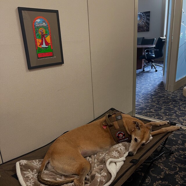 Four Archangels, Art Print, Dancing Monk Series