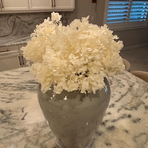 Carrie added a photo of their purchase