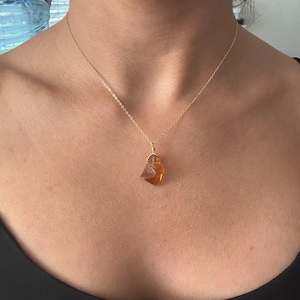 Paloma added a photo of their purchase
