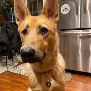 Jeanette ha añadido una foto de su compra