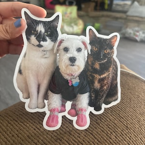 Brandie さんが購入した商品の写真を追加しました