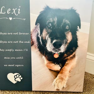 Lisa added a photo of their purchase