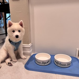 Ria さんが購入した商品の写真を追加しました