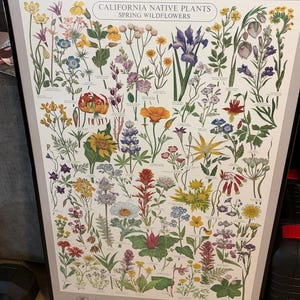 Cassie added a photo of their purchase