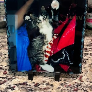 Katy added a photo of their purchase