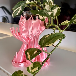 Kim added a photo of their purchase