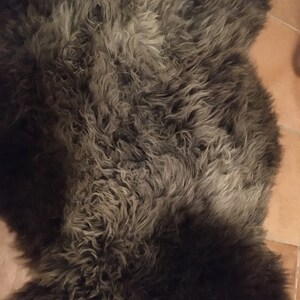 Naturai Sheepskin With SMALL DEFECTS 100% Sheepskin Under the Cat's Dog ...