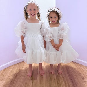 Cappuccino First Birthday Baby Dress, Flower Girl Dress, Princess Photoshoot, Prom Ball Gown, Toddler Baby Dress for Special Occasion