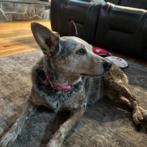 Corinne added a photo of their purchase