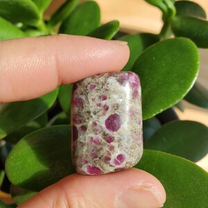 Joanne added a photo of their purchase